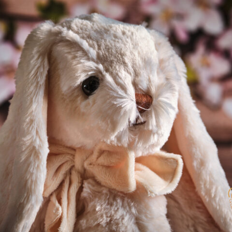 André White Peluche BUKOXSKI