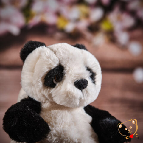 Baby Jie Jie, petit Panda