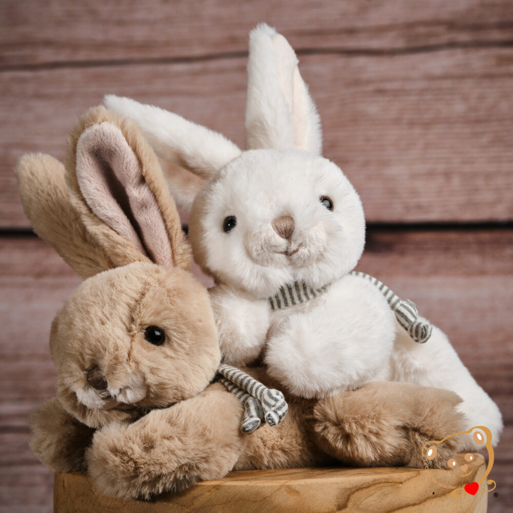 Coco, le p'tit lapinou – Image 5