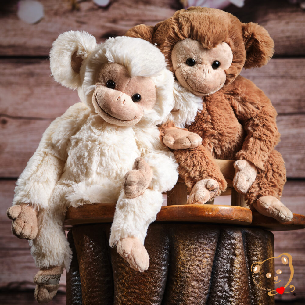Bernard, le singe coquin – Image 6