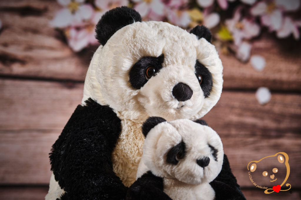 Jie Jie le PANDA – Image 8