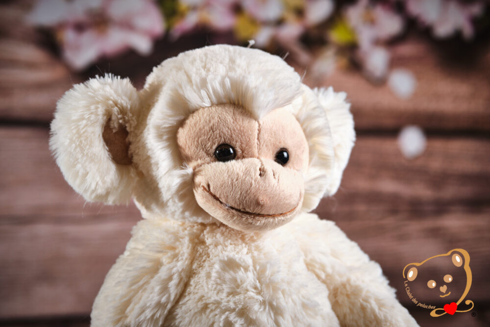 Denis, le singe malin – Image 2