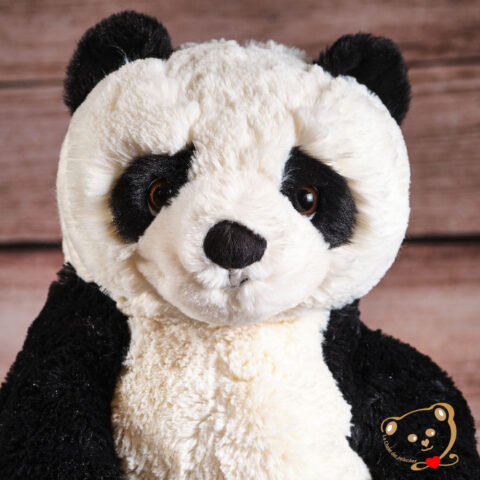 JieJie Peluche Bukowski