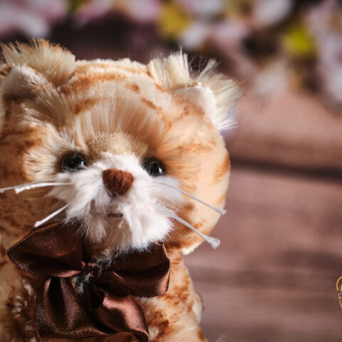 Loke Peluche BUKOWSKI