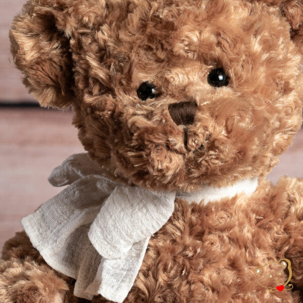 Ludwig, mon ours traditionnel du chalet des peluches