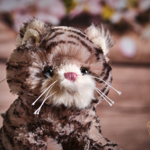 Maciek Peluche BUKOWSKI