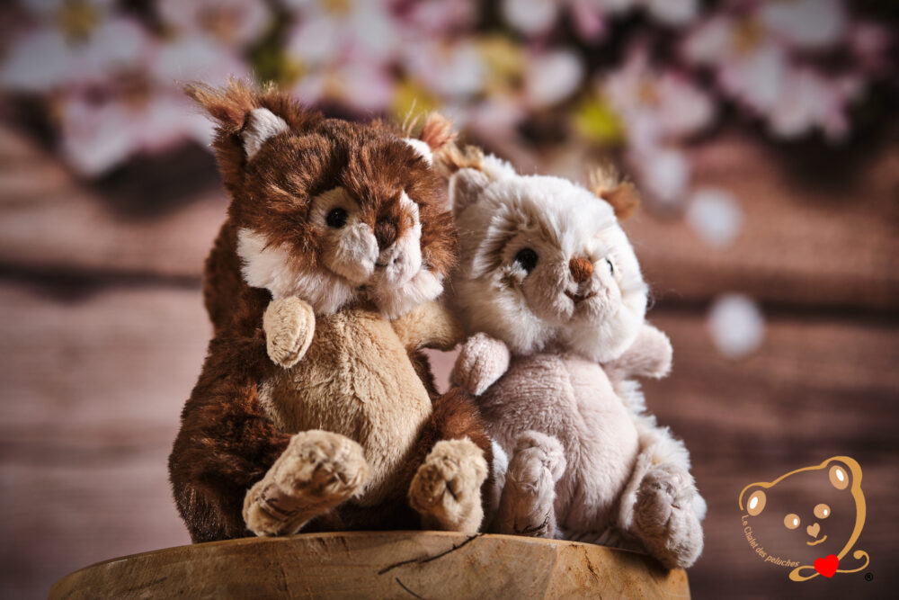 Brunis & Blixten