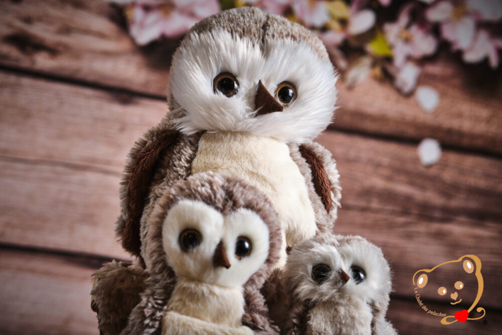 Sweet Hoho – Image 4