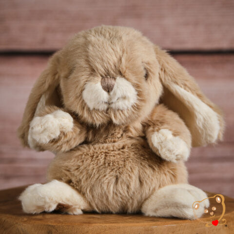 Kanini Taupe Pelcuhe BUKOWSKI