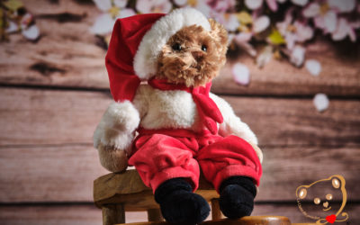 Une adorable peluche Noël à déposer sous le sapin