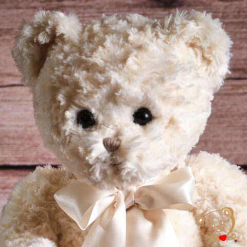 Anton, Mon1er ours XL