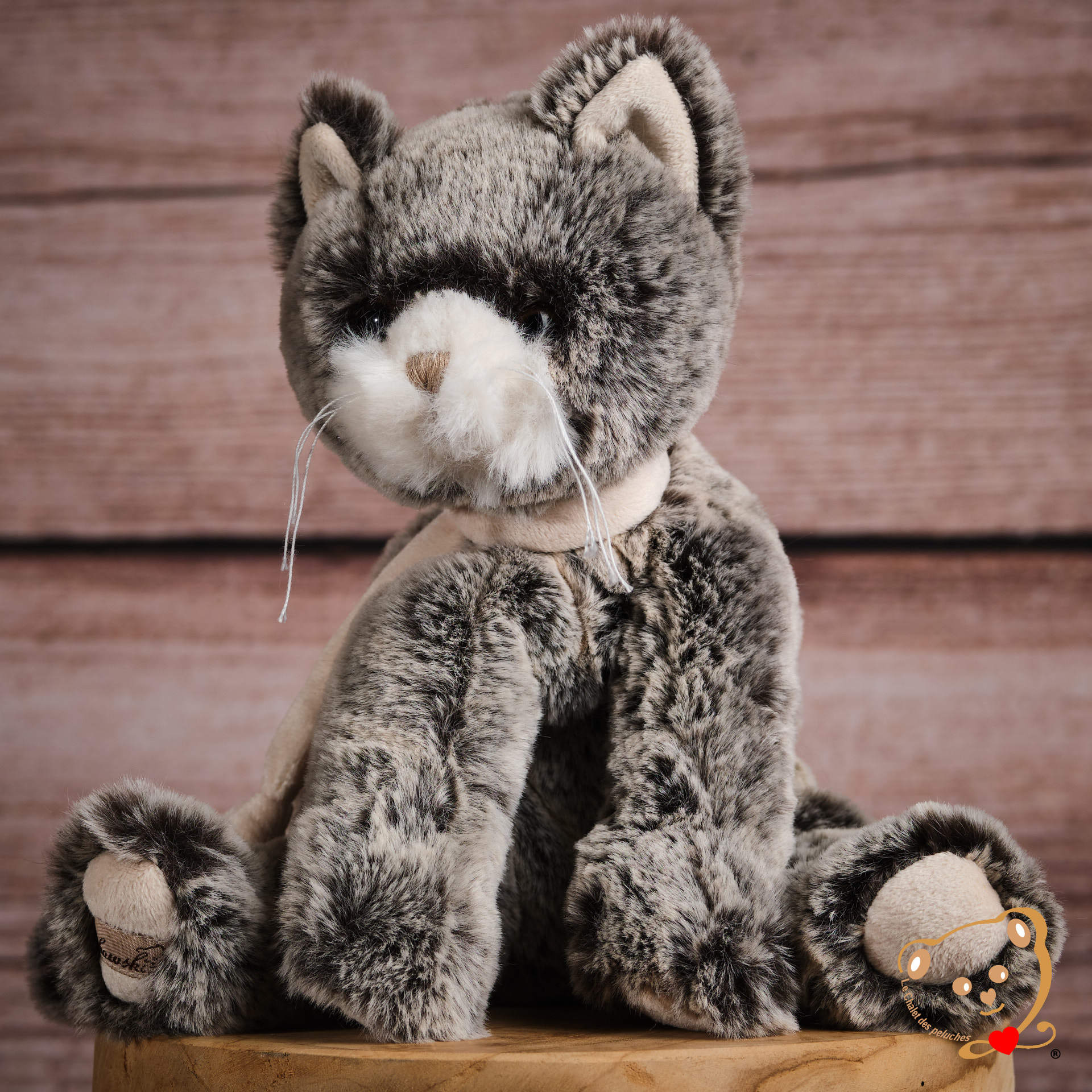 Kitty – Image 2