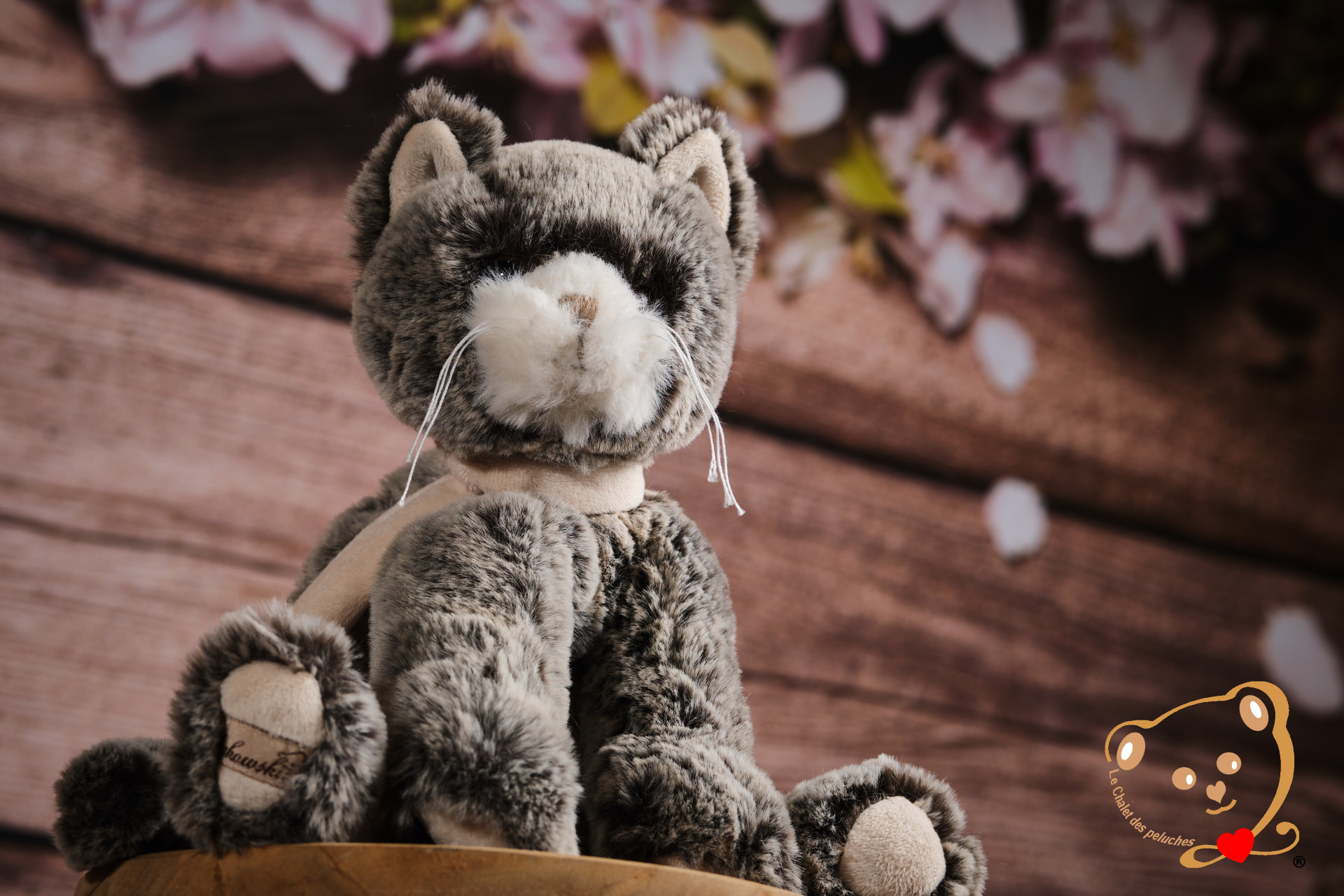 Kitty – Image 3