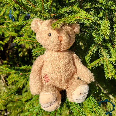 Nobody's Perfect Bukowski