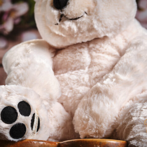 Antonio XL PeluchesBUKOWSKI