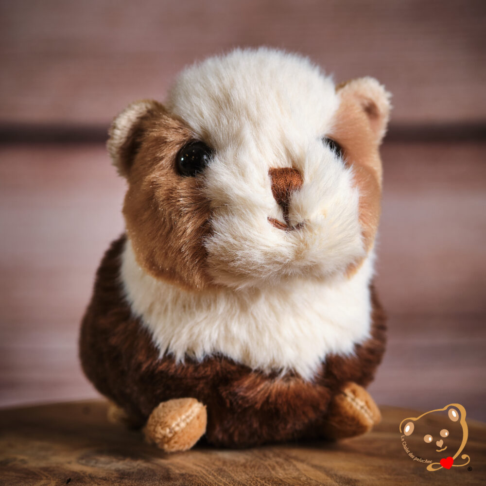 Piggy, le cochon d'Inde – Image 2