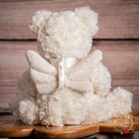 Janusz l'ANGE GARDIEN