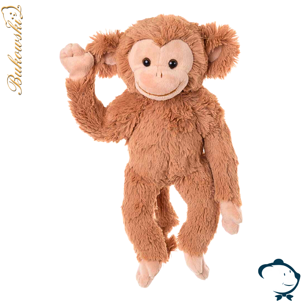 Bernard, le singe coquin