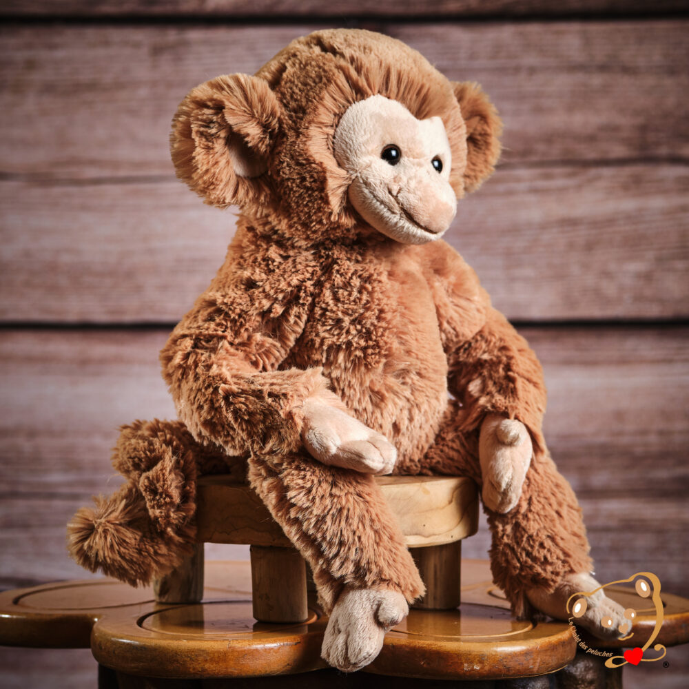 Bernard, le singe coquin – Image 2