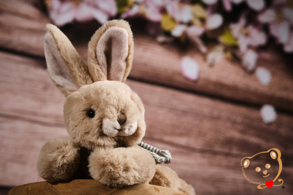 Buster, le p'tit lapinou – Image 3
