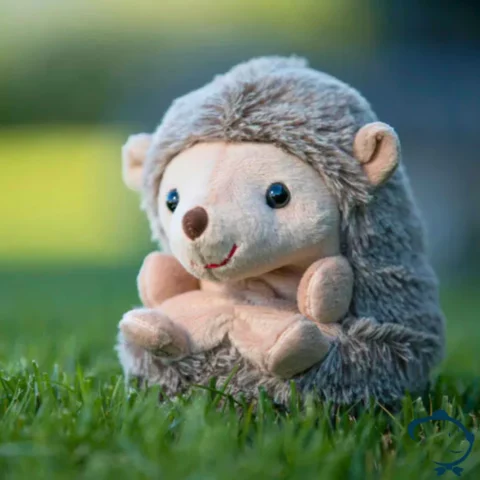 Sweet Hubert Assis Bukowski