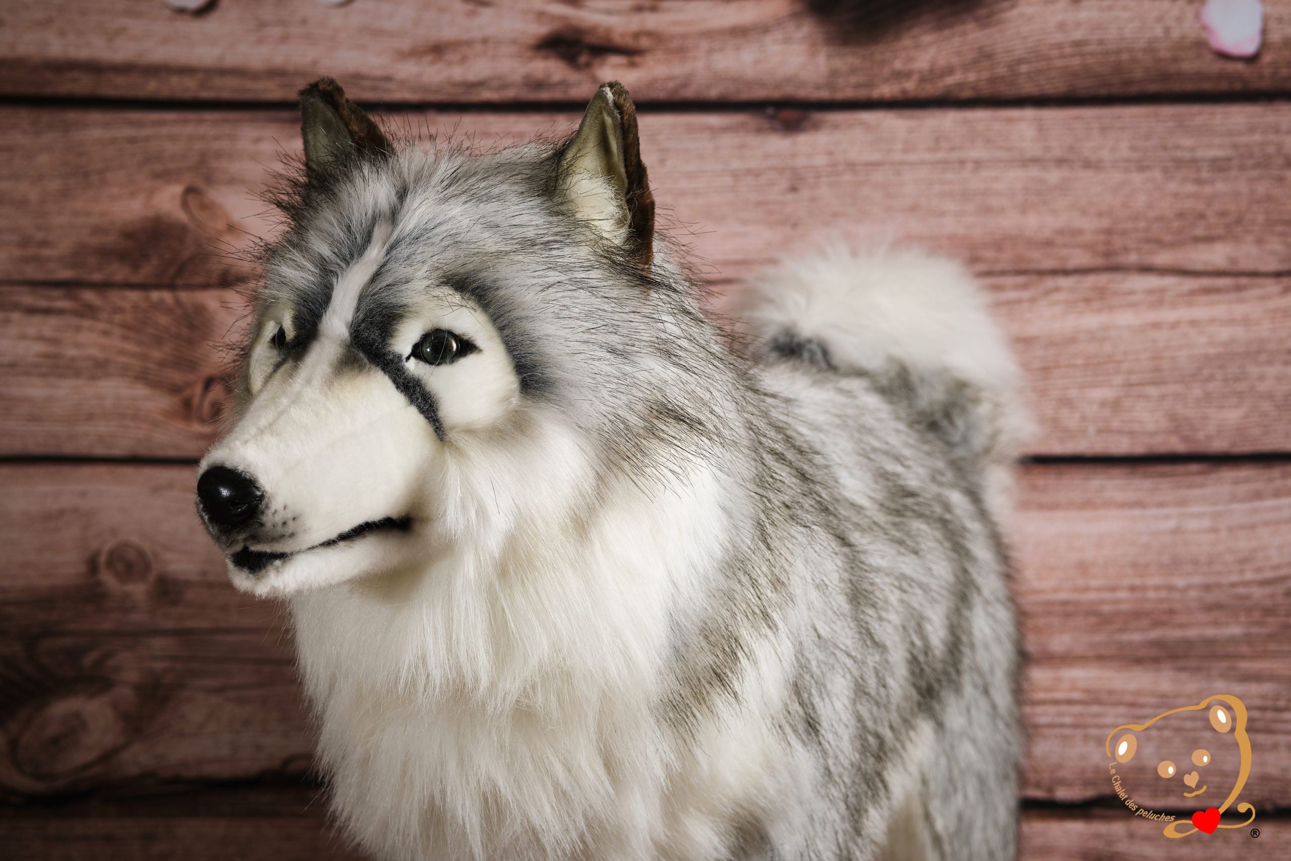 Husky Geant De Luxe Produit Exclusif Le Chalet Des Peluches Husky Geant De Luxe Produit Exclusif Le Chalet Des Peluches