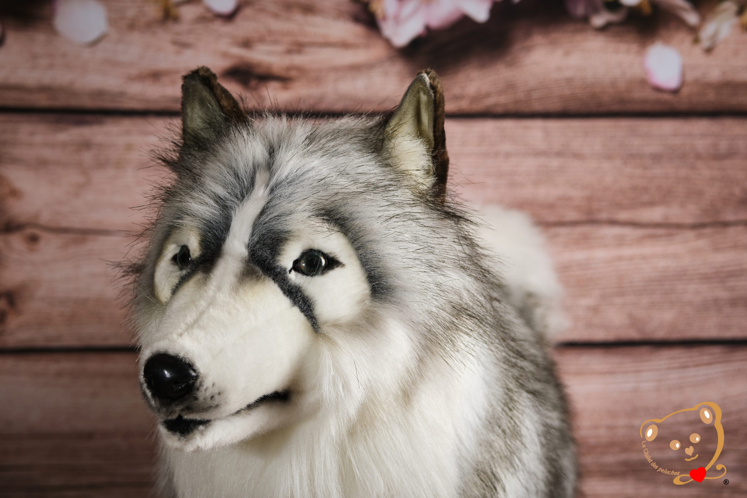 Husky Geant De Luxe Produit Exclusif Le Chalet Des Peluches Husky Geant De Luxe Produit Exclusif Le Chalet Des Peluches