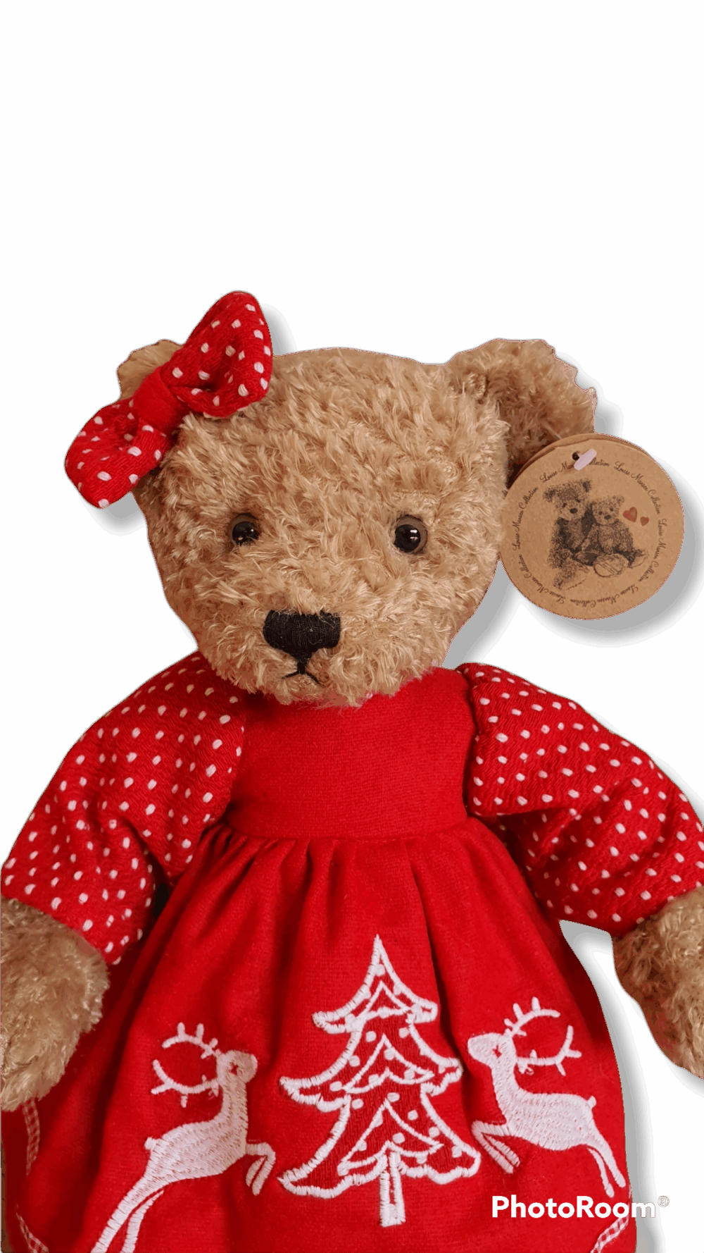 Dorthy – Image 6