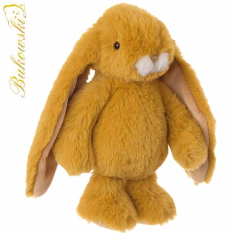 Junior Kanini - Safran