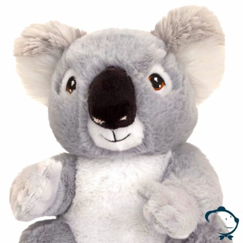 Aaron, le petit Koala