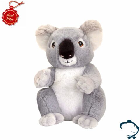 Aaron, le petit Koala