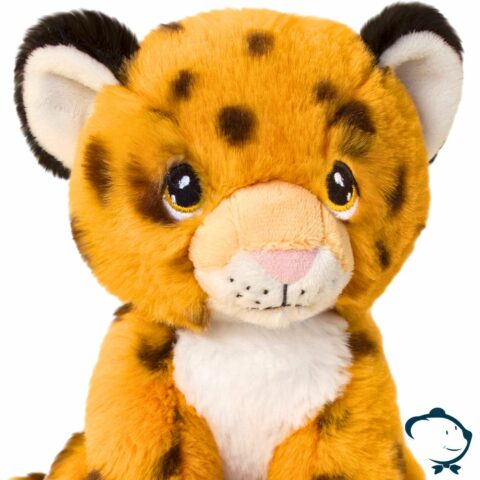 Curt, le bébé Guépard