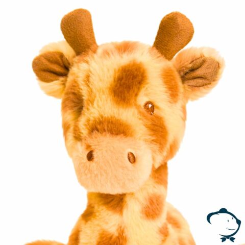 Fany, notre bébé Girafe