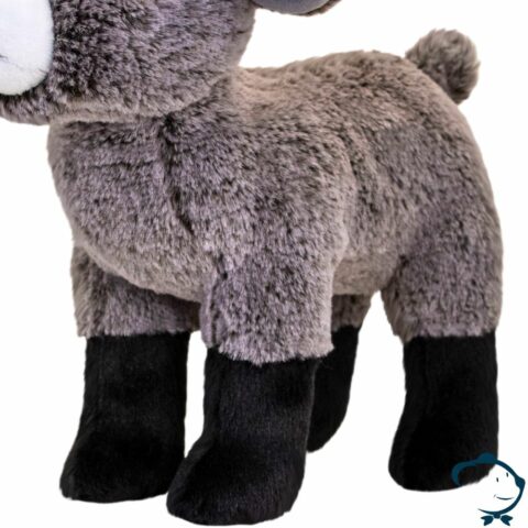 Fluffy, le petit Bouc