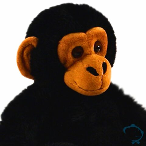 Gilou, le petit Chimpanzé