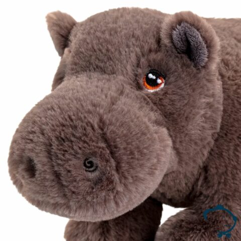 Hippolite, l'hippopotame