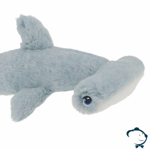 Jack, le requin marteau