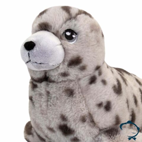 Djoé, le phoque tacheté