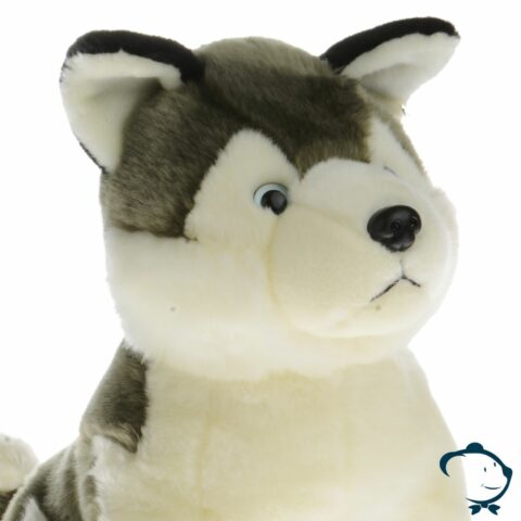 Moyen Husky - Gamme Luxe