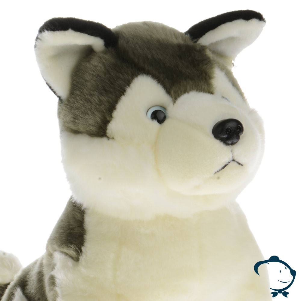 Moyen Husky - Gamme Luxe – Image 2