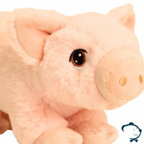 Olgor, le p'tit cochon