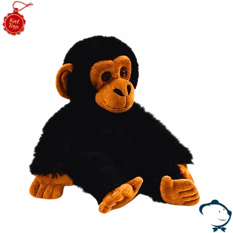 Gilou, le petit Chimpanzé