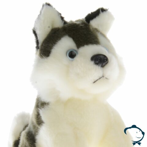 Petit Husky - Gamme Luxe