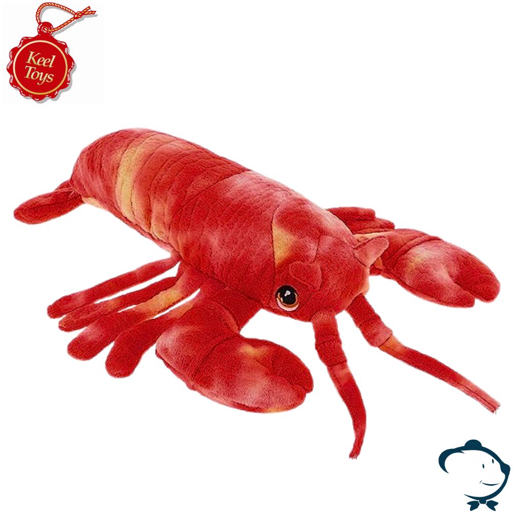 Stéfano, le homard mâlin