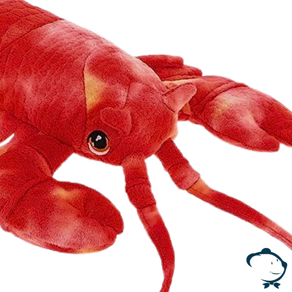 Stéfano, le homard mâlin – Image 2