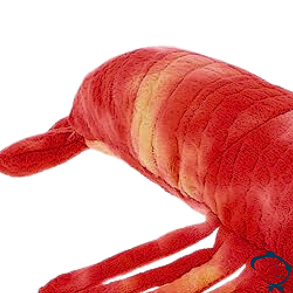 Stéfano, le homard mâlin – Image 3