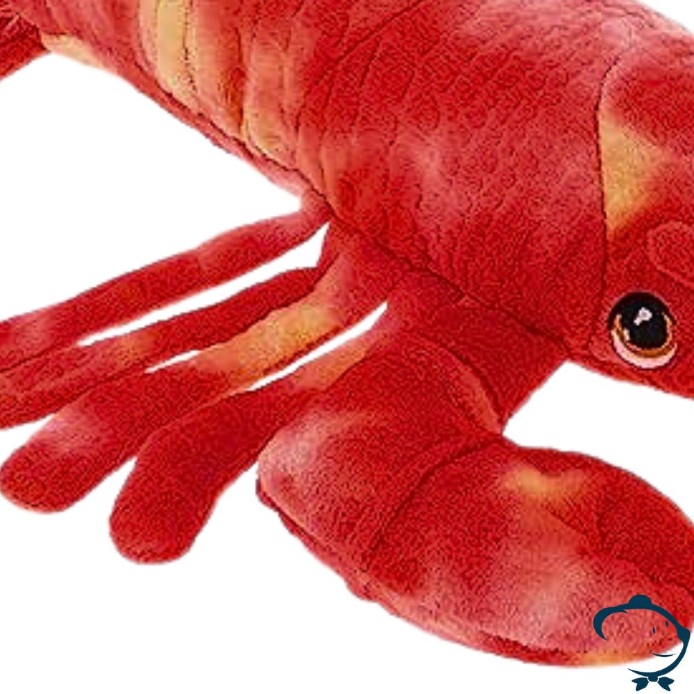 Stéfano, le homard mâlin – Image 4