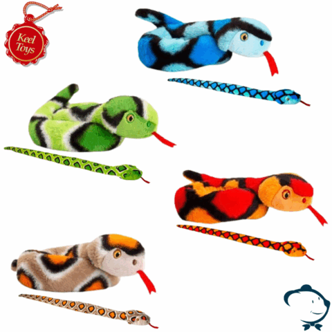 Aaron, le serpent coloré