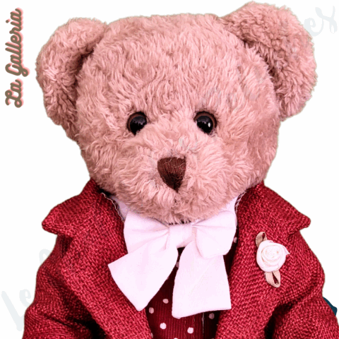 Louis - Edition limitée & Collector