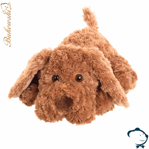 Manfred, mon tendre chien